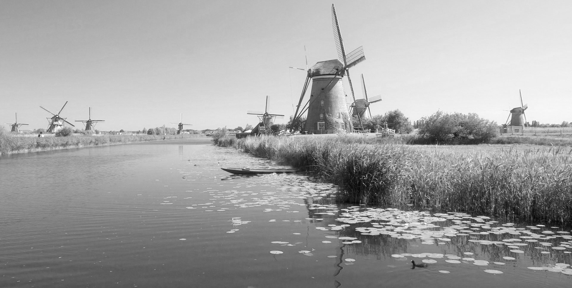 Wonen in de provincie Zuid-Holland - molen.